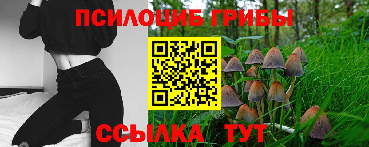 Псилоцибиновые грибы Cubensis Кизляр
